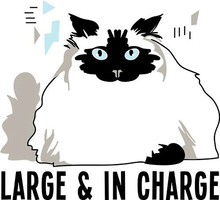 Large & In Charge