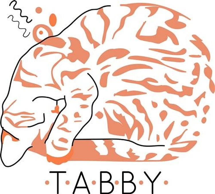 Tabby Cat