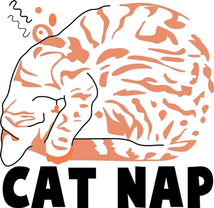 Cat Nap