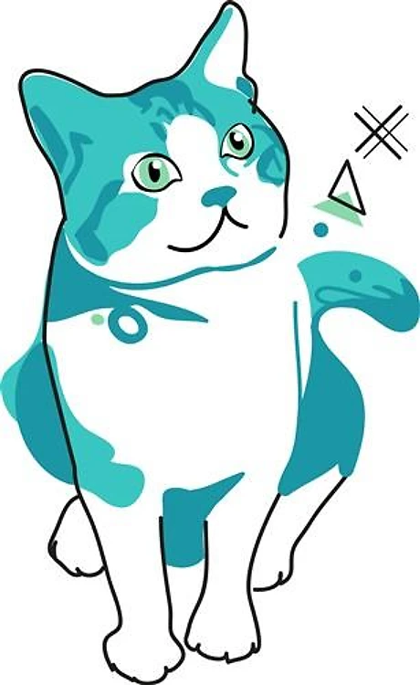American Shorthair Cat