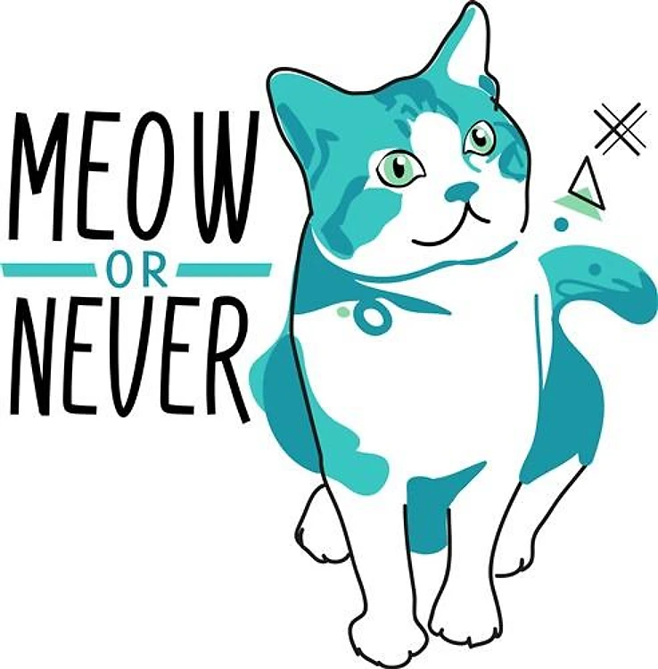 Meow Or Never