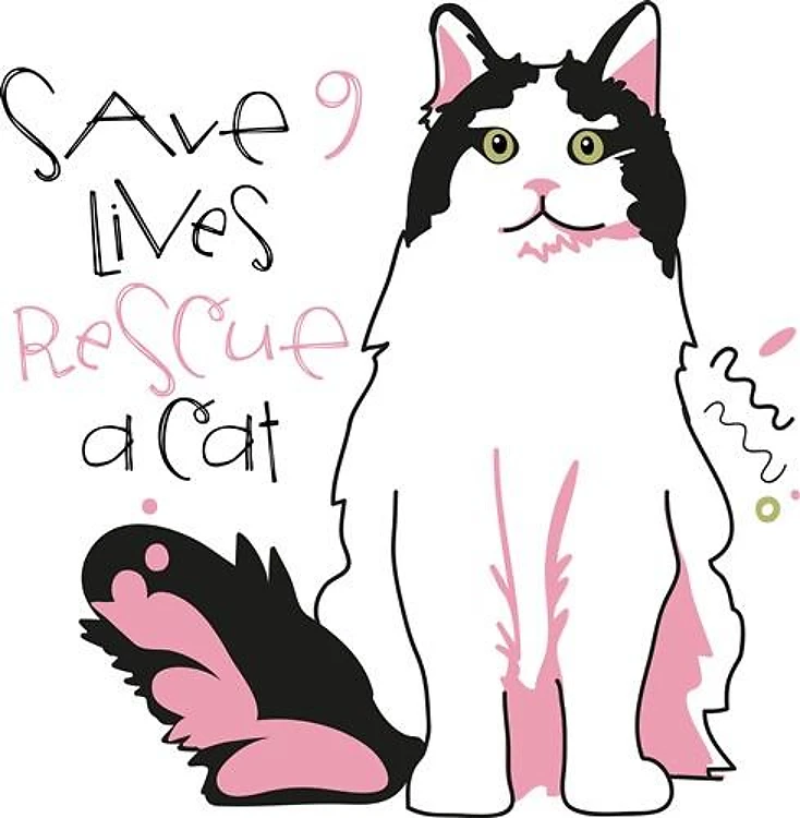 Rescue A Cat
