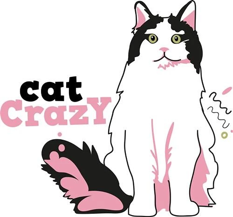 Cat Crazy