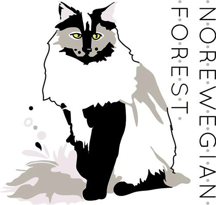 Norwegian Forest