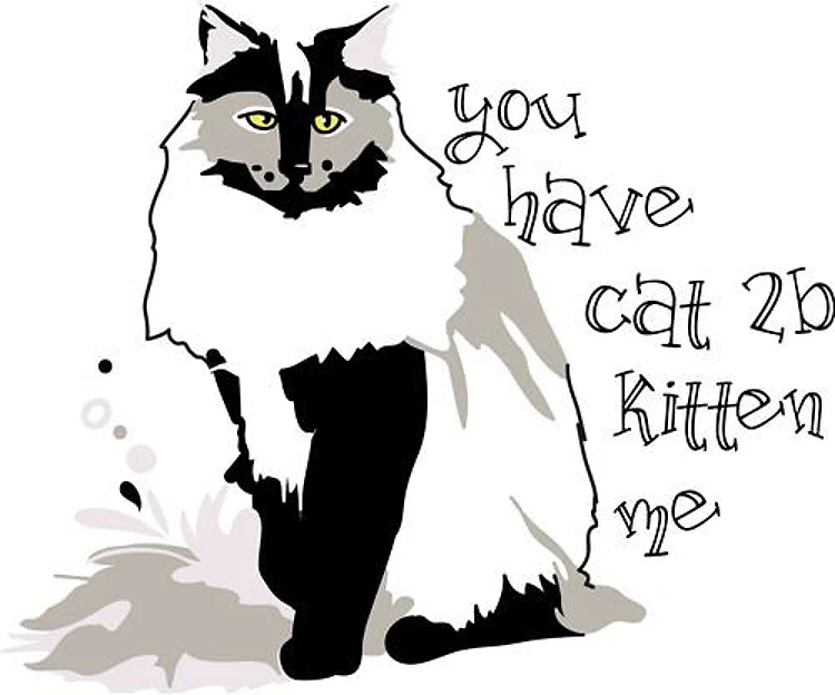 Kitten Me