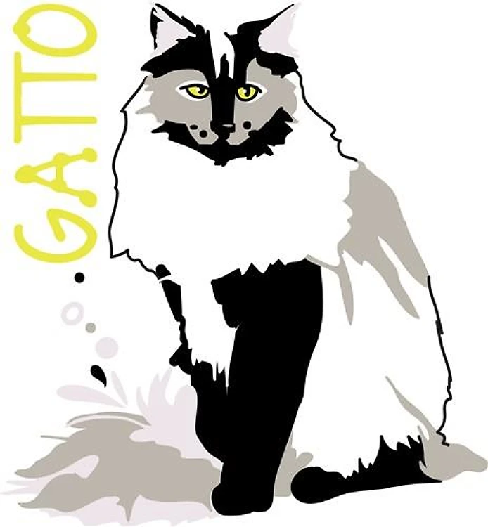 Gato