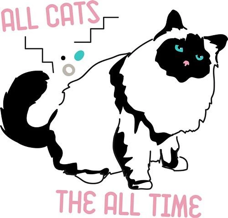 Cat Crazy