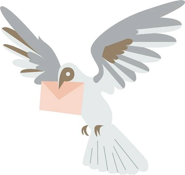 Carrier Pigeon