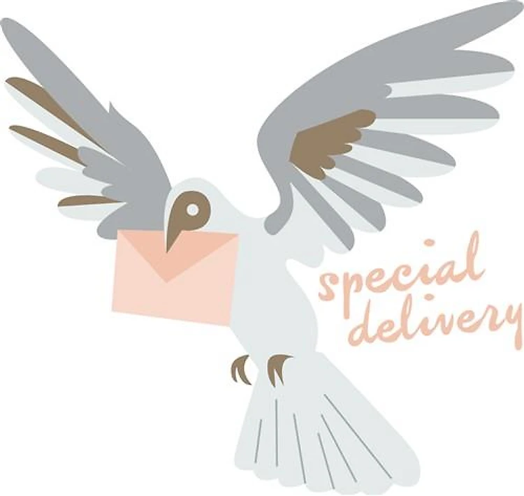 Special Delivery