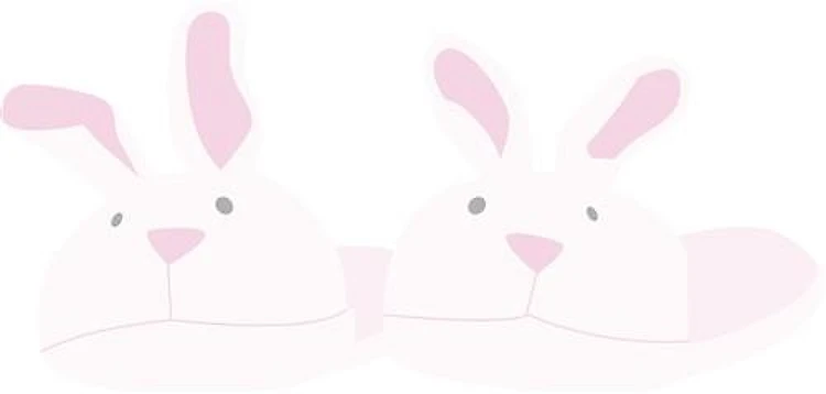 Bunny Slippers