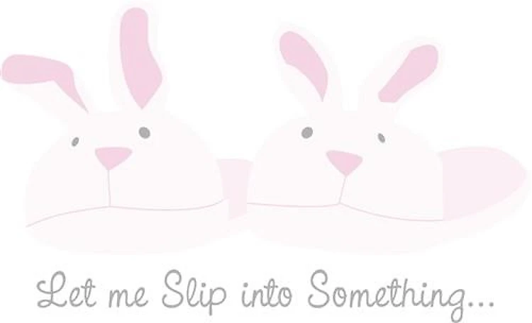 Slip Into Something