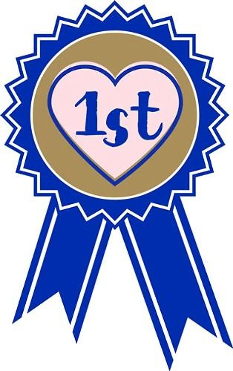 1st Blue Ribbon