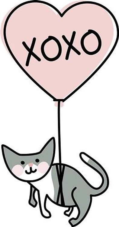 XOXO Kitten