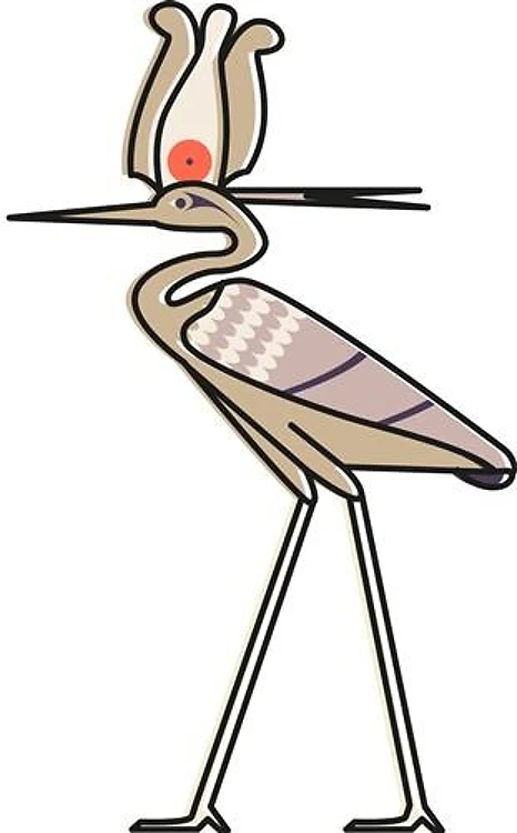 Egyptian Heron