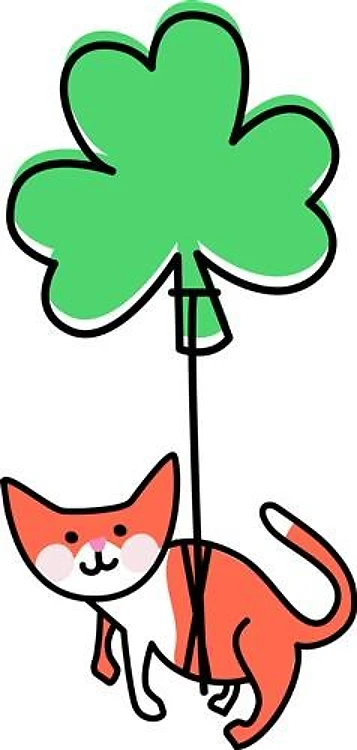 Irish Kitten