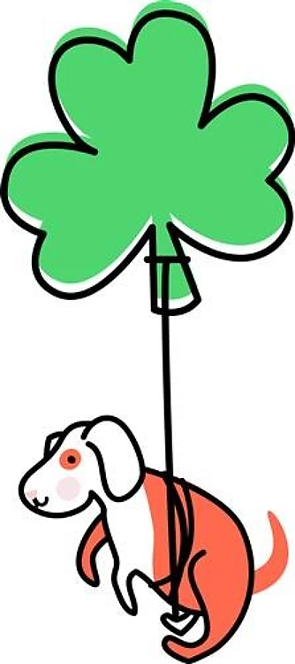 Irish Puppy