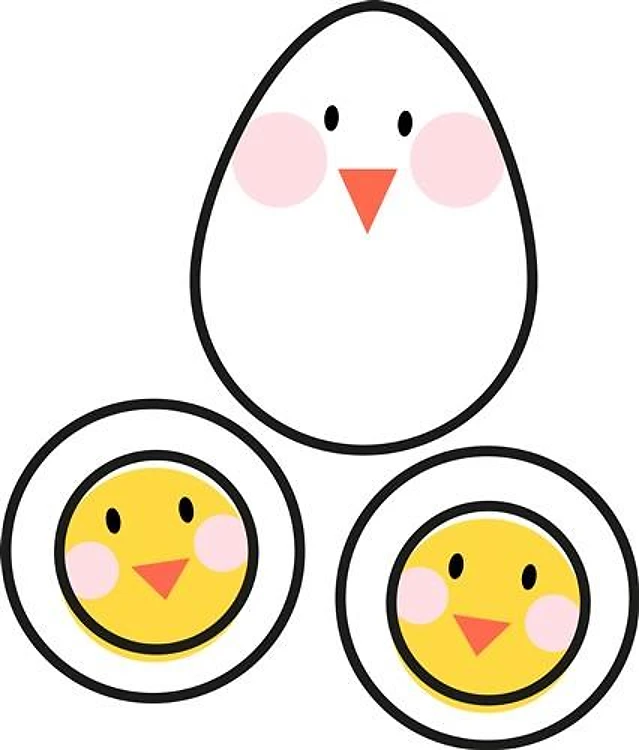 Egg Chicks
