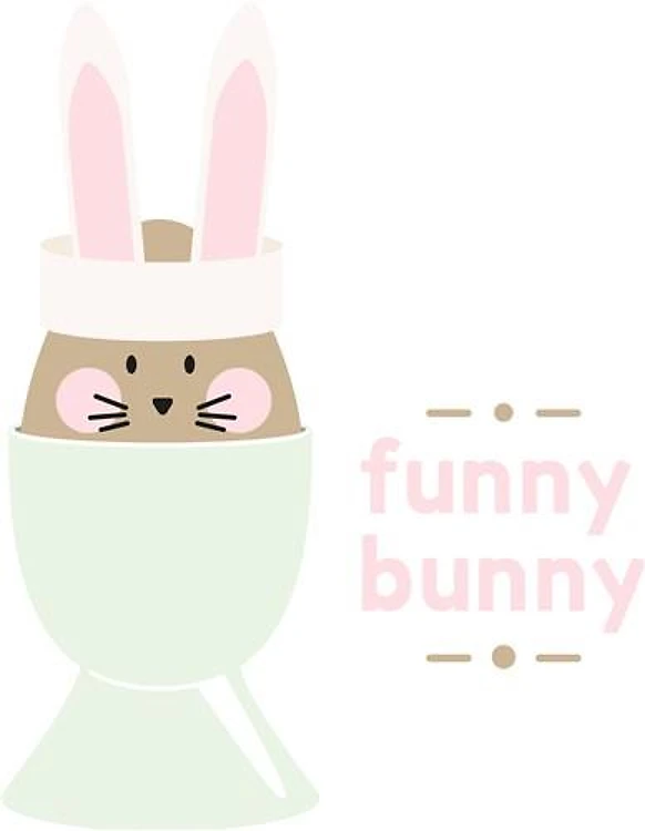 Funny Bunny