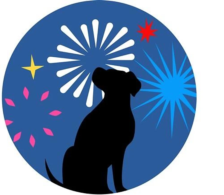 Dog & Fireworks