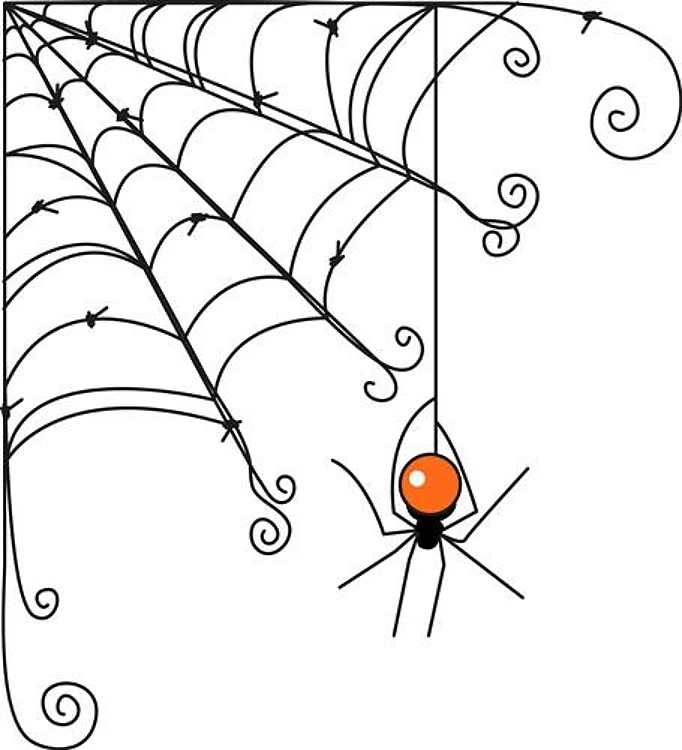 Spider Web