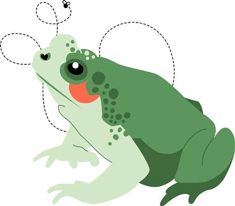 Toad & Fly