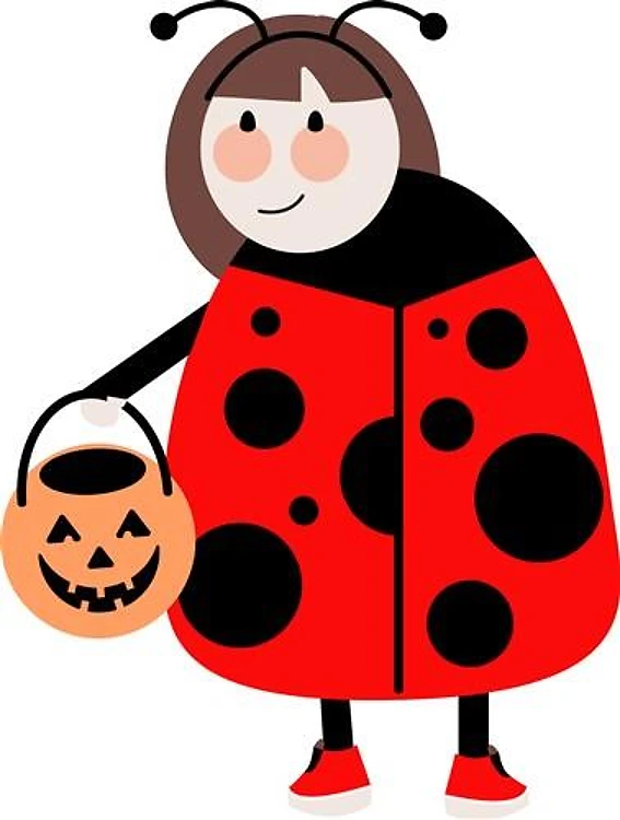 Lady Bug Costume
