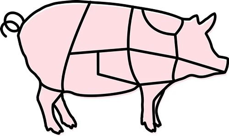 Pig Pork