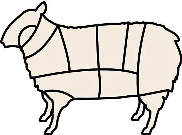 Lamb