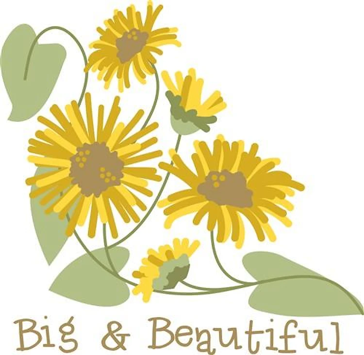 Big and Beautiful