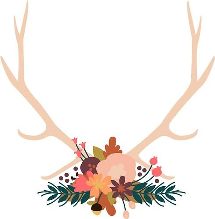 Deer Antlers