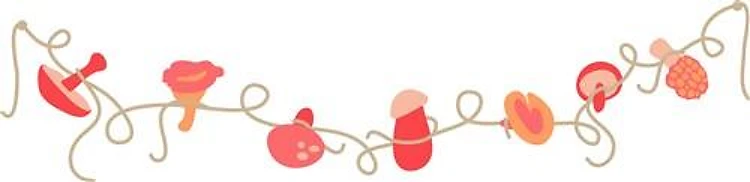 Mushroom Banner