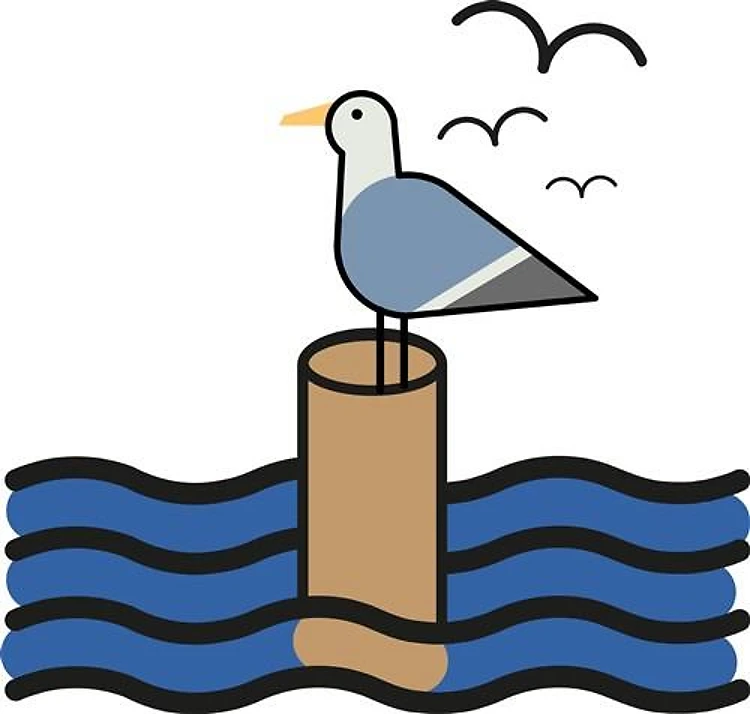 Seagull