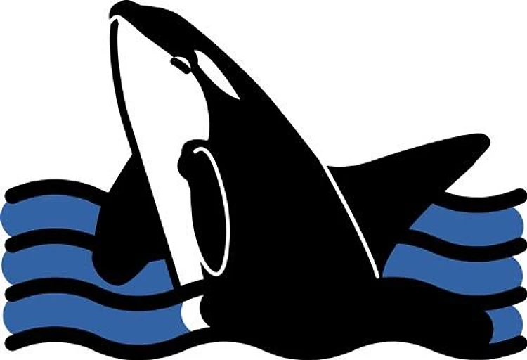 Orca