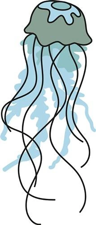 Jellyfish