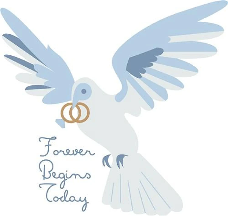 Forever Begins
