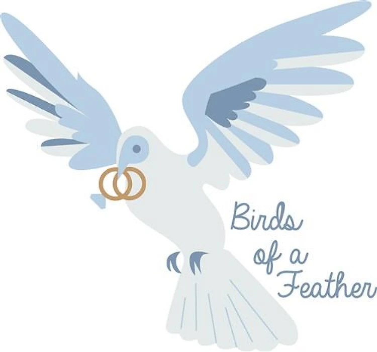 Birds Of Feather