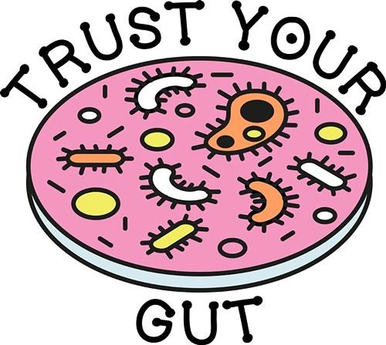 Trust Your Gut