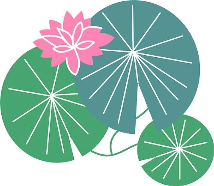 Lily Pad