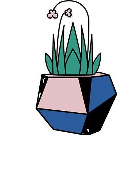 Succulent
