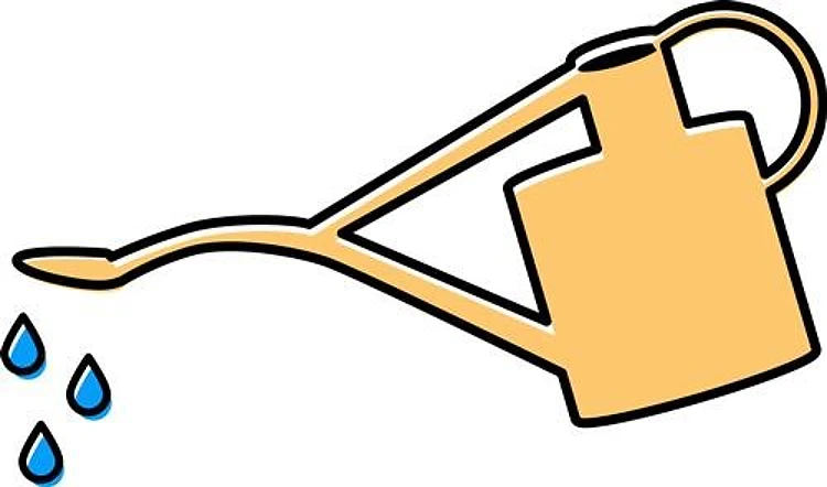 Watering Can
