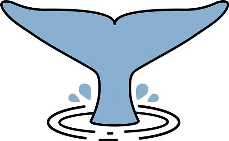 Whale Tail