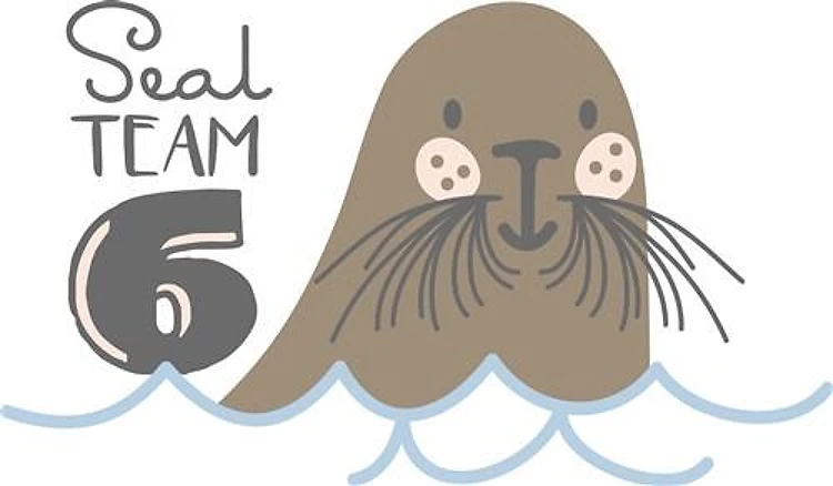 Seal Team 6