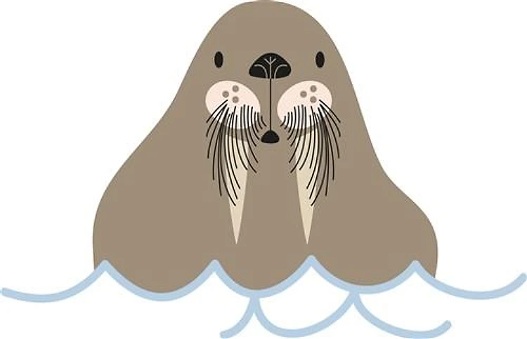 Walrus