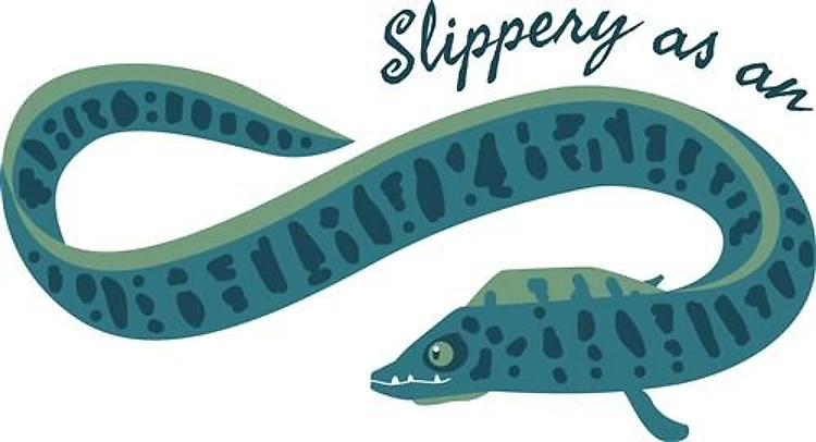 Slippery As Eel