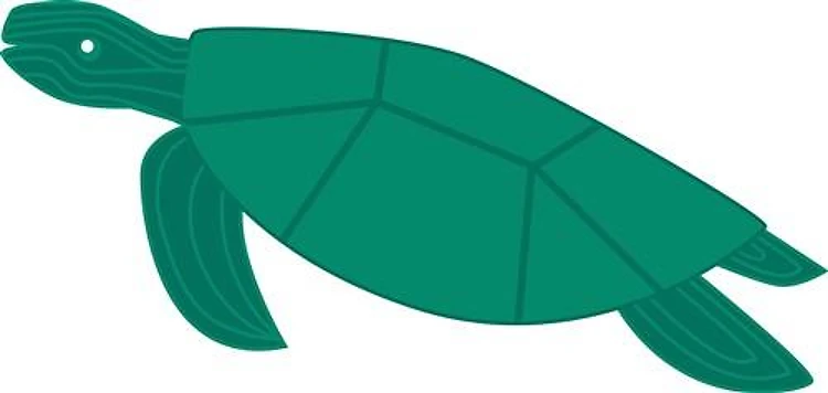 Sea Turtle