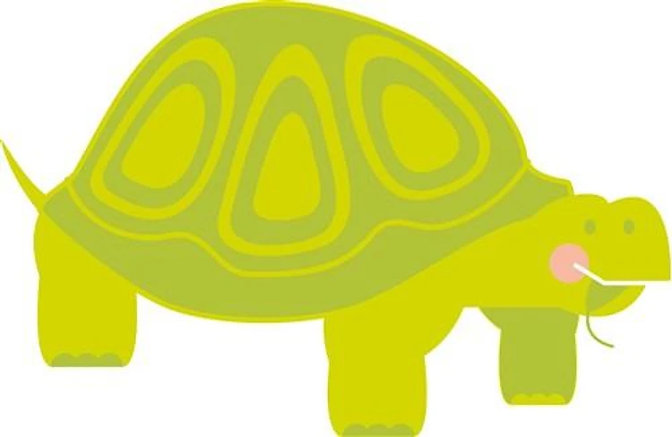 Green Turtle