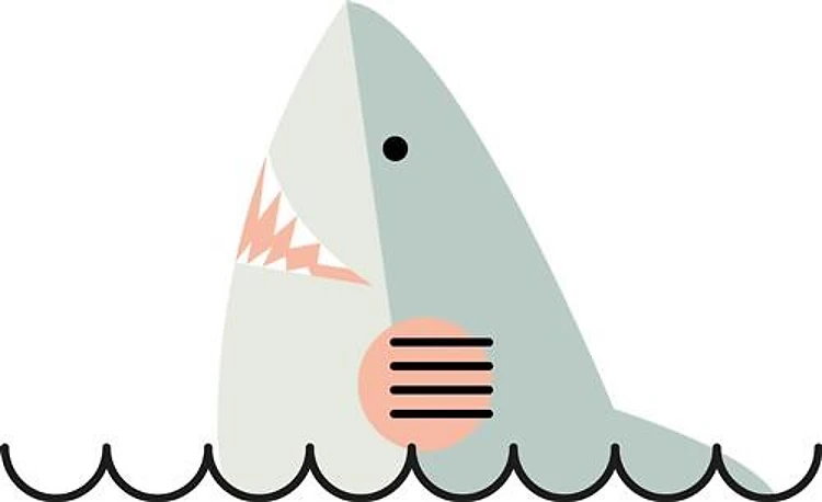 Shark Head