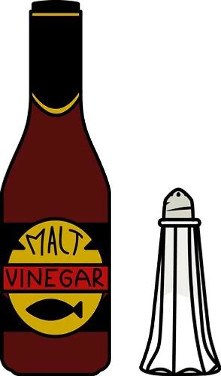 Salt And Vinegar