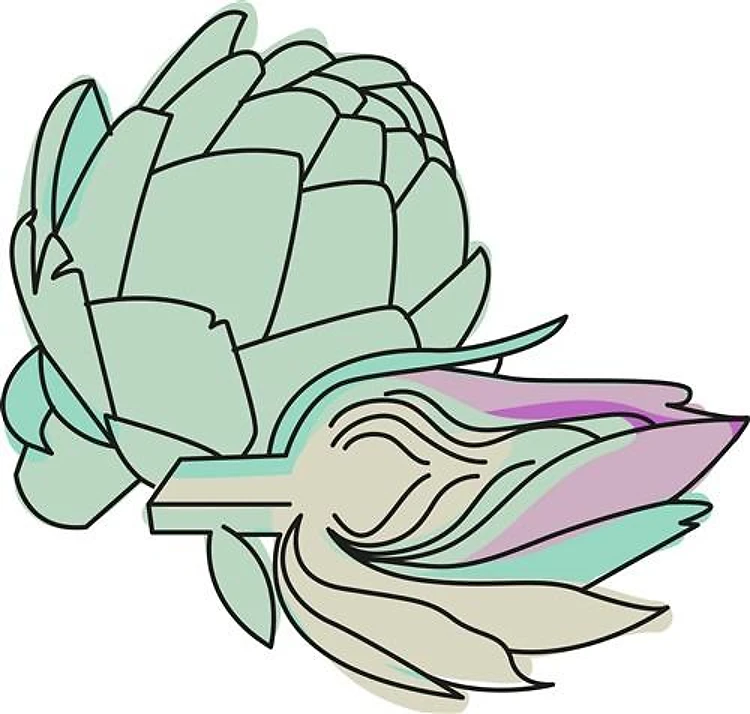 Artichokes