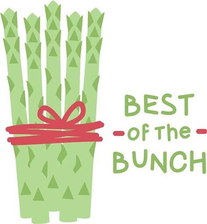 Best Of Bunch